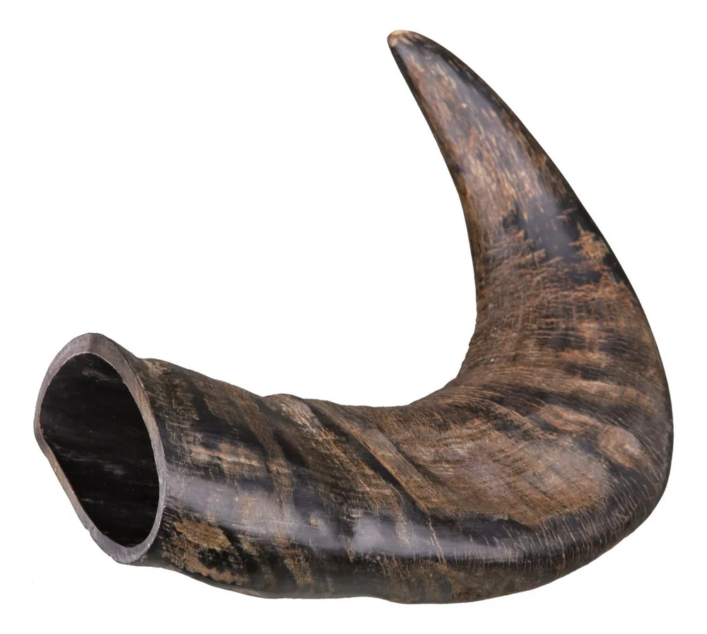 Trixie ekte buffalo tyggehorn – medium v:4544500
