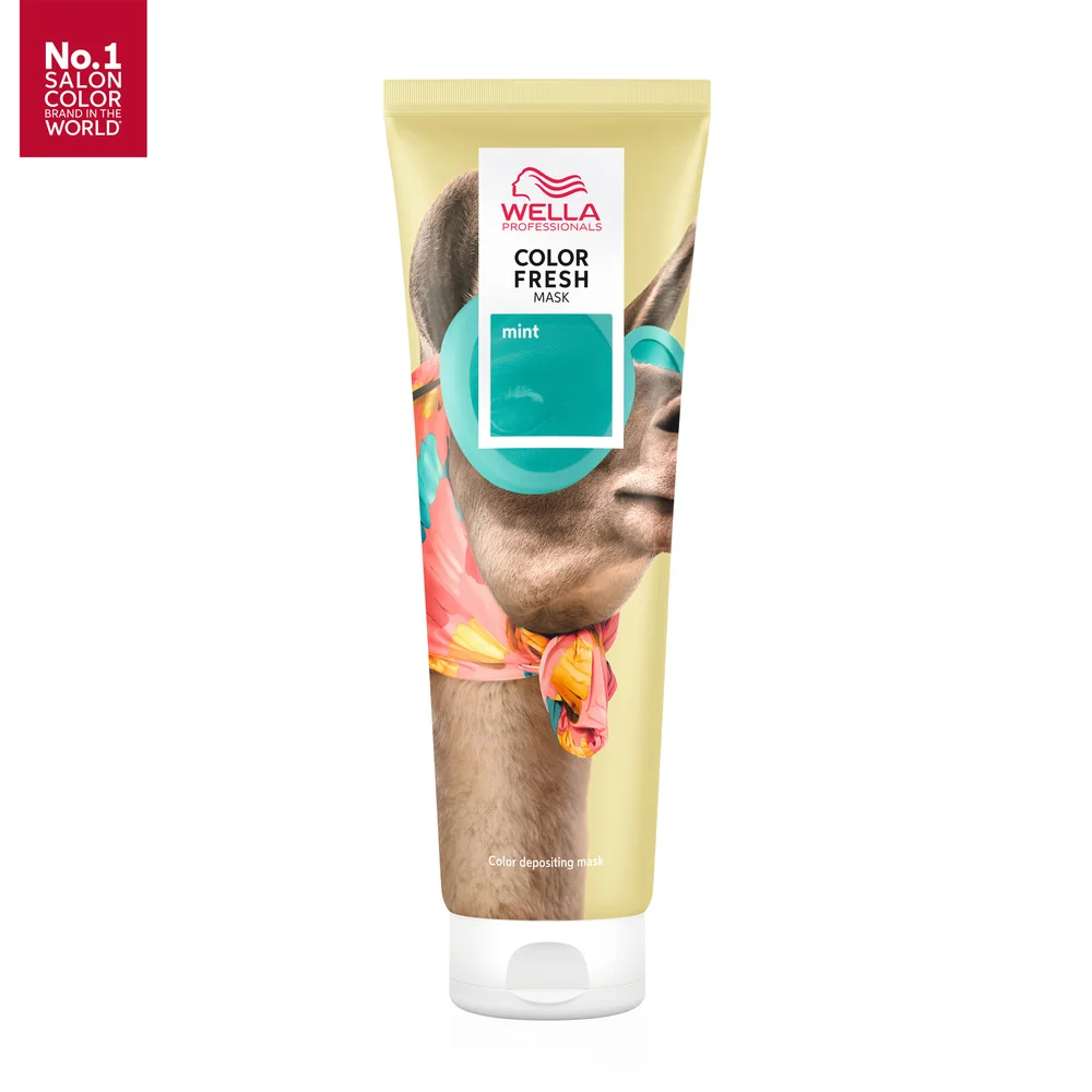 Color Fresh Mask Mint – Pleie for farget hår v:8468543 Color Fresh Mask Mint – Pleie for farget hår v:8468543