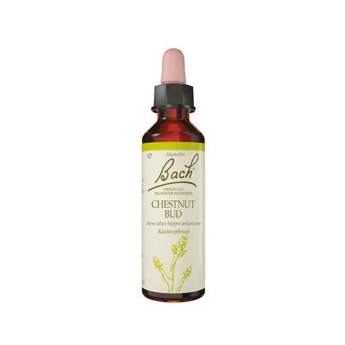 Bach Originale Blomsterremedier | Kastanjeknop v:9884192 Bach Originale Blomsterremedier | Kastanjeknop v:9884192