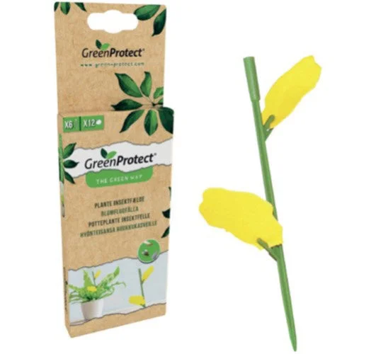 Plante Insektsfelle v:2133947