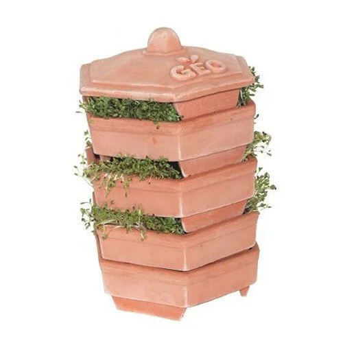 Bavicchi Geo Terracotta Sprouter v:5156650